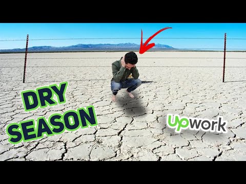 Dry Season on Upwork?