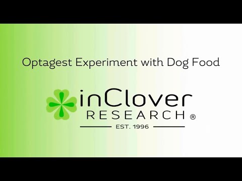 Conducting the Optagest Experiment with Dog Food