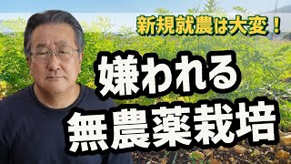 【新規就農】嫌われる無農薬栽培【自然栽培】【無肥料】【自然農法】【自然農】【SDGs】【農家】【栽培基準】【食の安全】【オーガニック】【有機JAS】【脱サラ】