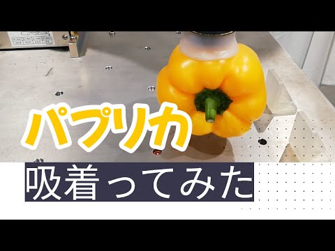 【吸着ってみた】パプリカ【コンバム】