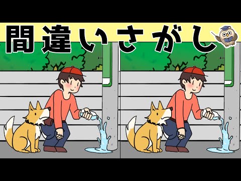 【間違い探しゲーム】おすすめ！老化予防に最適な脳トレ動画【頭の体操】