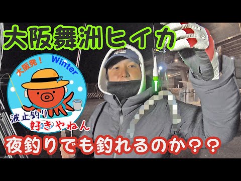 【舞洲】大阪夢舞大橋でも夜釣りでヒイカは釣れるのか??!!【ライトエギング】