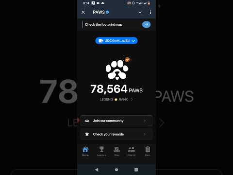 PAWS MYSTERY QUEST SOLVED! 1MILLION PAWS REWARD #paws #notcoin