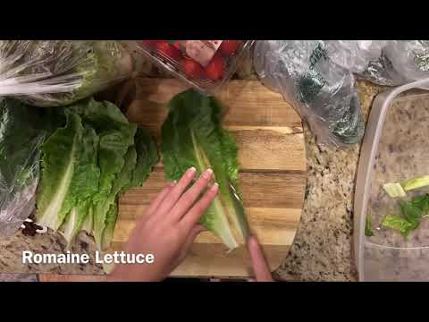 MAKING SALAD FOR MY GUINEA PIGS