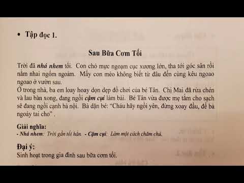 BIN&BIN | Sau bữa cơm tối