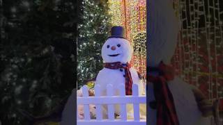 Snowman #christmas #snowman #snowcarnival