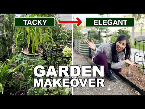 This Garden Makeover Requires Very Little Skill: Step-by-Step explained!