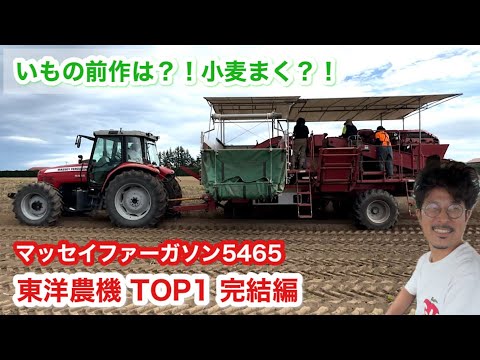 【東洋農機】TOP1でいも収穫【トラクター】MF5465まーくんの芋掘り2024完結編に