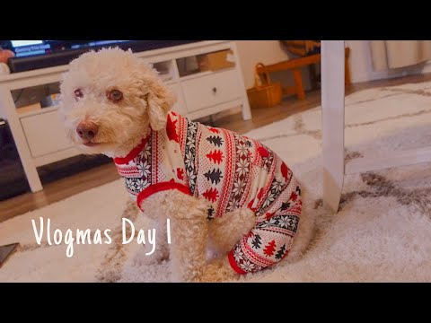 VLOGMAS Day 1: Christmas Tree Shopping, IKEA, Target, Ashley Homestore