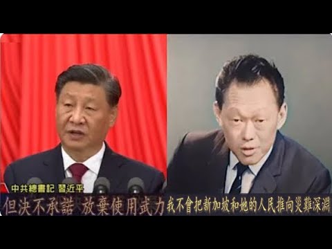 你能看出新加坡民選政府與共產黨政府在公開場合的不同談話方式嗎？