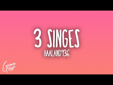 Haaland936 - 3 Singes