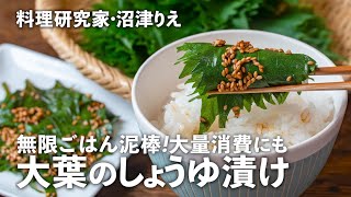 ごはん泥棒「大葉のしょうゆ漬け」は仕込み1分！何にでも巻いて大量消費も【ちょこっと漬け#120】｜ kufura  [  クフラ  ]