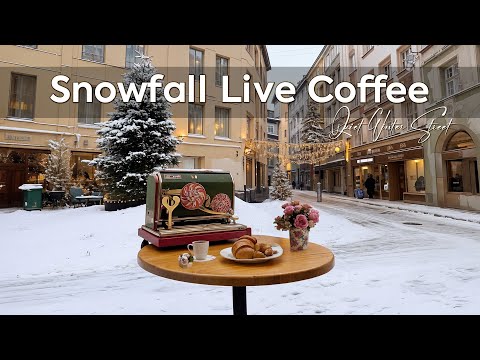 Snowfall Live Coffee ~ Hot Coffee Amid a Quiet Winter Street for Calm Soul, Relax at Home 🎄🪔