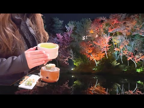 how to enjoy autumn Kyoto | autumn colors momiji leaves in Japan & light up,  | JAPAN VLOG