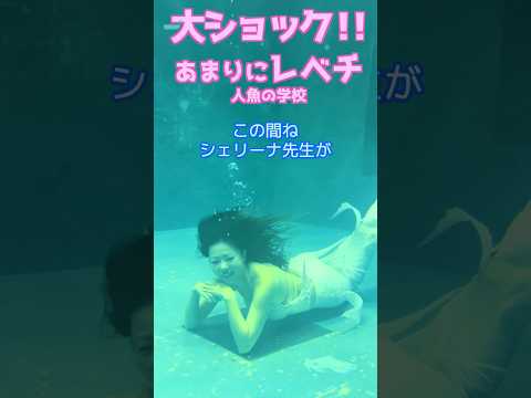 🧜‍♀️【悲報】日本はマーメイドスイム後進国……？/マーメイドスイム #mermaid #マーメイド #人魚