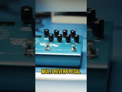 The Musora Giveaway - BlueSkye Strymon Multi Reverb Pedal