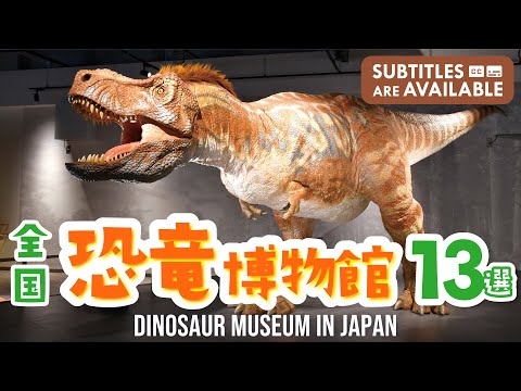 [Dinosaur Museums in Japan] 13 Museums With Dinosaur's Full Skeletons That Children Loves! 　