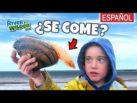 Niños CAPTURAN y COMEN mariscos misteriosos en la playa | River y Wilder