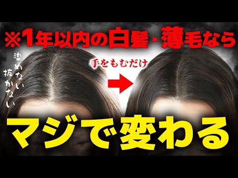 【白髪改善】9割が知らない! 1年以内の白髪や薄毛なら解消できる！！その方法を徹底解説 | 染めない！抜かない! 抜け毛解消！原因も解説【産後白髪】