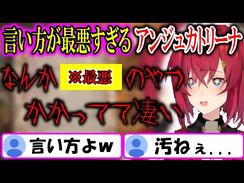 アレの言い方が最悪すぎるアンジュカトリーナ【にじさんじ/切り抜き/リゼアン/2020/02/14】