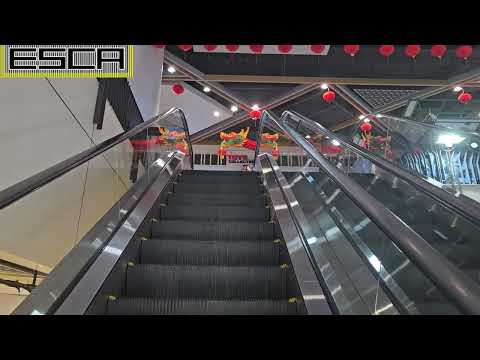 [Thailand] Mixet Chatuchak Escalator 1F-2F Mitsubishi