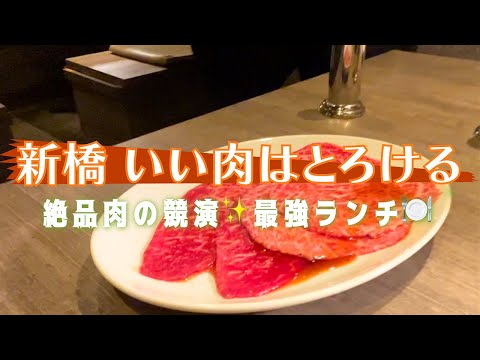 【東京・新橋】上質なお肉を お店の方がいい感じに焼いて提供してくださる焼肉ランチコース🥩 贅沢な気持ちになり幸せな✨時間を過ごしました😊