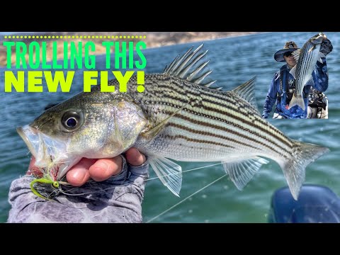 Trolling for Striper at Castaic Lake(New Fly)