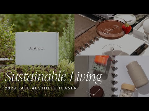 Aesthete By Cloth & Paper | Fall 2023 Collection | Deluxe Lifestyle Subscription Box