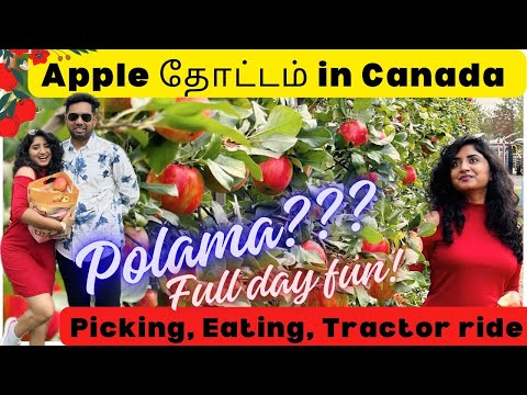 🍎 Best place for Apple Picking in Canada🇨🇦Farm Visit,Apple Tasting,Tractor Ride,Picnic, Photoshoot💥