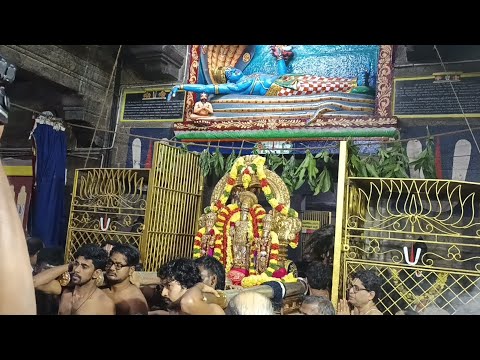 வைகுண்ட ஏகாதசி சொர்க்கவாசல் திறப்பு/Divine #blessed#viral