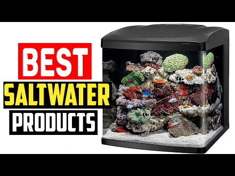 ✅The Best Saltwater Aquarium Products of 2023