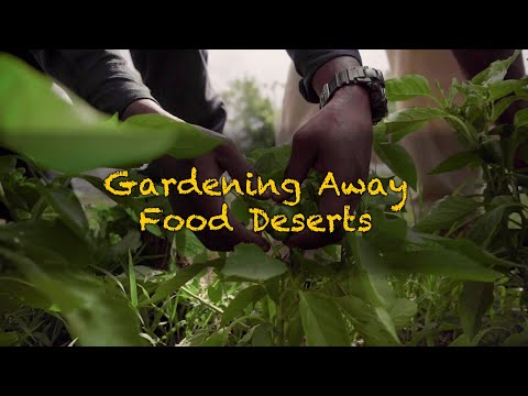 Gardening Away Food Deserts