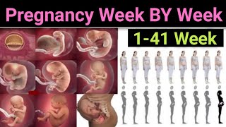 Pregnancy Week By Week 1-41 weeks fetal development #pregnancy #cngajbhiye #cnmedicineinfo