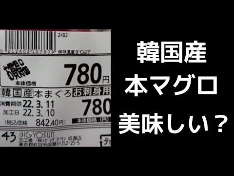 【魚】韓国産本マグロって美味しいの？食べてみた