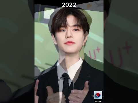 Seungmin (StrayKids) Visual Transformation (2017-2024)