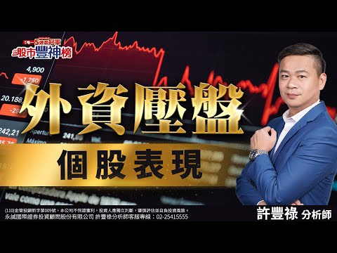 外資壓盤 個股表現｜2024/11/13｜ 許豐祿 分析師｜股市豐神榜