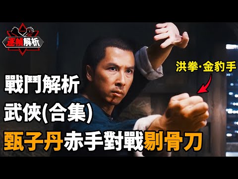 武俠（合集）：甄子丹最被低估的武俠經典之作！普通人兩輩子也學不完的洪拳！逐幀解析影視劇中最受歡迎的招式｜搏Bo搏