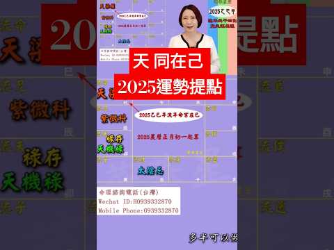 #天 同在己 #2025運勢提點【2025乙巳年天運啟示錄暨流年命宮在巳12組命盤運】 #2025流年運勢 #2025流年四化 #2025 #2025紫微流年運勢 #chinese astrology