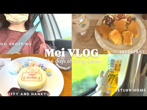 【vlog】アラフォーOL夏休み前後の平凡な6日間🌿👩🏻‍💼|ミッフィーコラボスイーツ&おうちカフェ🏠