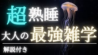 【5分で寝落ち・睡眠用】タメになる大人の雑学