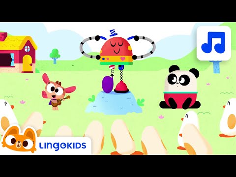 Head Shoulders Knees and Toes 🎶 Dance with Baby Bot | Lingokids