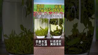 明前特级米芽信阳毛尖2023新茶上市，你喜欢喝哪款茶呢？# 信阳毛尖 # 新茶上市 # 茶叶 # 绿茶 # 明前头茶#喝茶 #茶生活 #喝茶有講究，喝茶步驟，wechat：zcj049 #召唤茶友