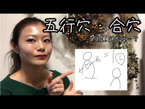 【要穴の覚え方】五行穴・合穴の覚え方は…？【鍼灸師＊Biancaなざと】