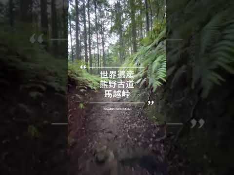 世界遺産熊野古道馬越峠PR動画12　#Shorts