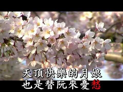 綿綿情絲斷袜離-葉啟田(卡拉版)★