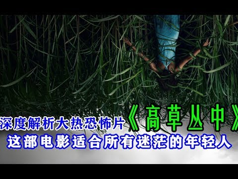 【腹黑电影】：深度解析大热恐怖片「高草丛中」，所有的恐惧都由心魔制造，这部电影适合所有迷茫的年轻人