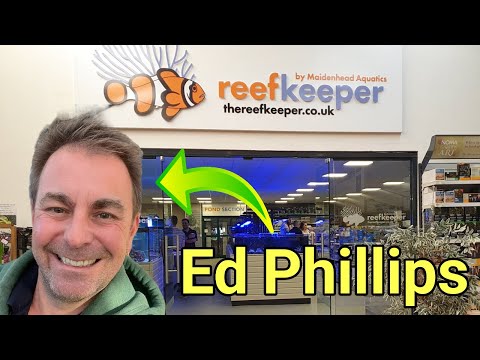 The Reality of Running a LFS With Ed From Reefkeeper Moss End | The Prestige Reef Dork Show Ep 73