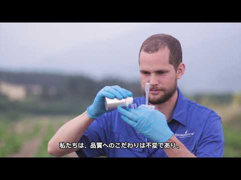 【ヤング・リヴィング】Commitment to Compliance