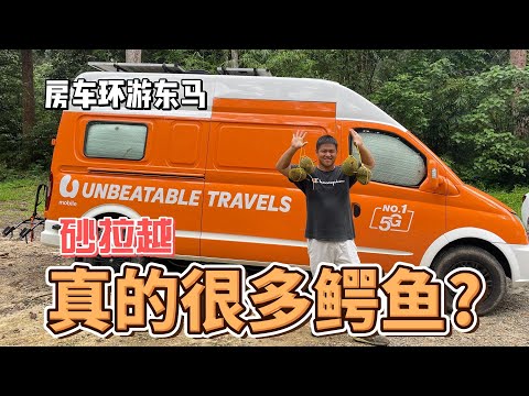 【东马房车之旅】第四站 第一次看到这么多的鳄鱼 | Siburan 十七新生村 | 杨氏养鳄场 | Jong's crocodile farm