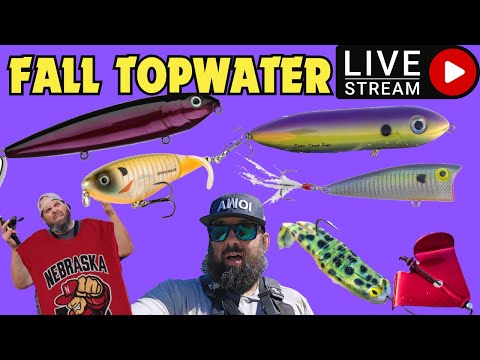 (LIVE) Catch MORE Fall Topwater Fish!